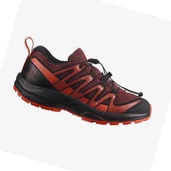 Tenis Para Trail Running Salomon XA PRO V8 Niños Naranjas | MX 2032ZUT